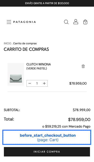 Before Start Checkout Button Slot